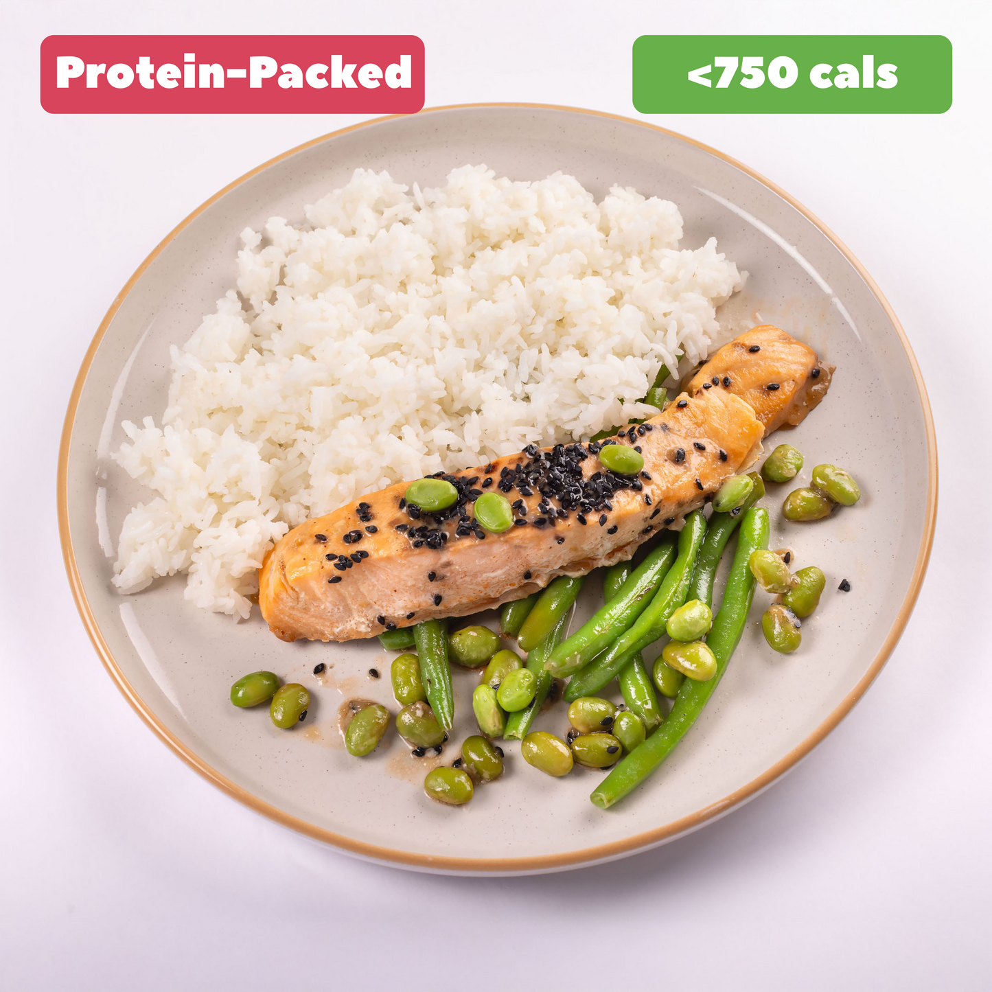 Teriyaki Salmon with Rice and Green Beans [Heat & Eat]
